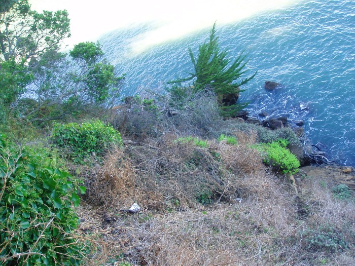 Black Point. Photo by Jym Dyer.