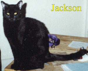 Jackson